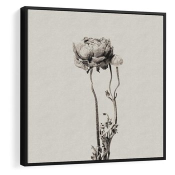 Obraz w ramie 50x50 - Kwiatowa Symfonia w Szarościach - czarno biała odbitka, jak fotografia - rama czarna