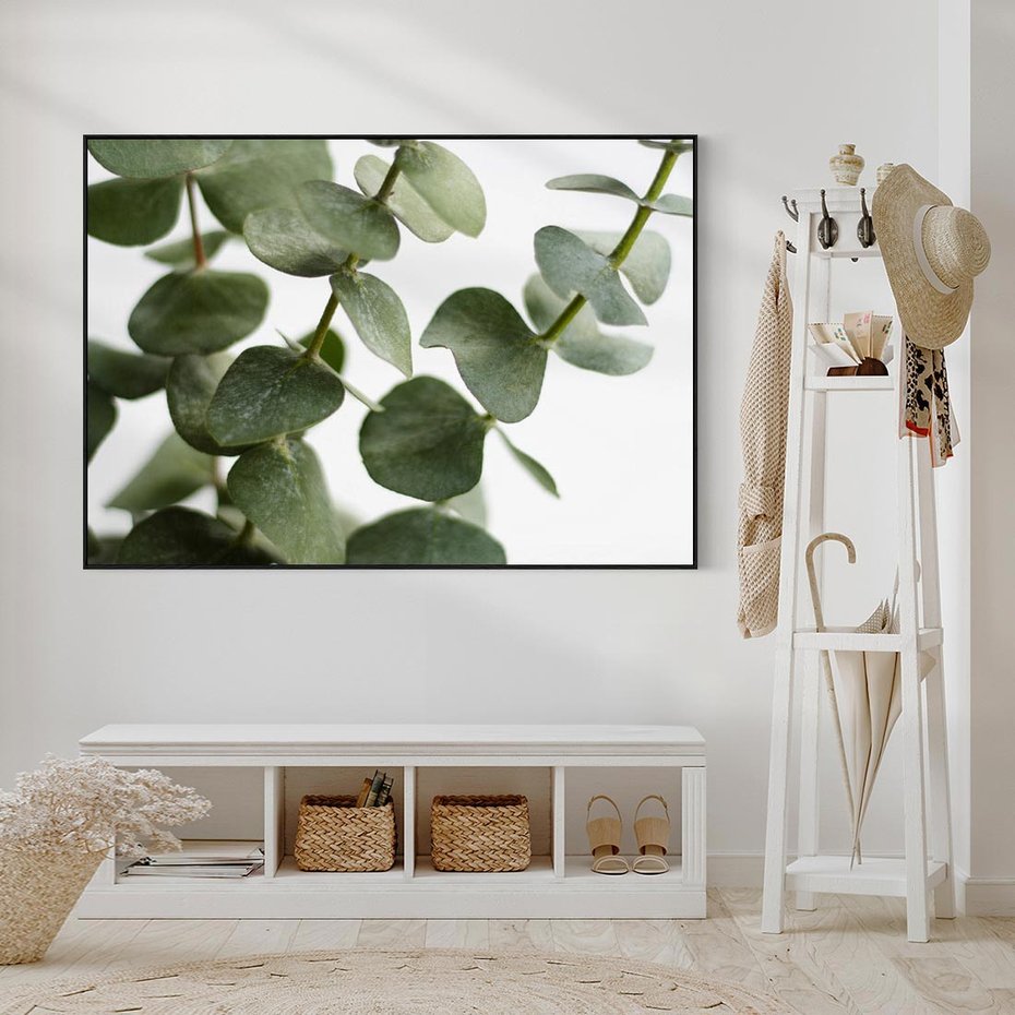 Obraz w ramie 100x70 - Zielone eukaliptusy - eukaliptus, liście - rama czarna