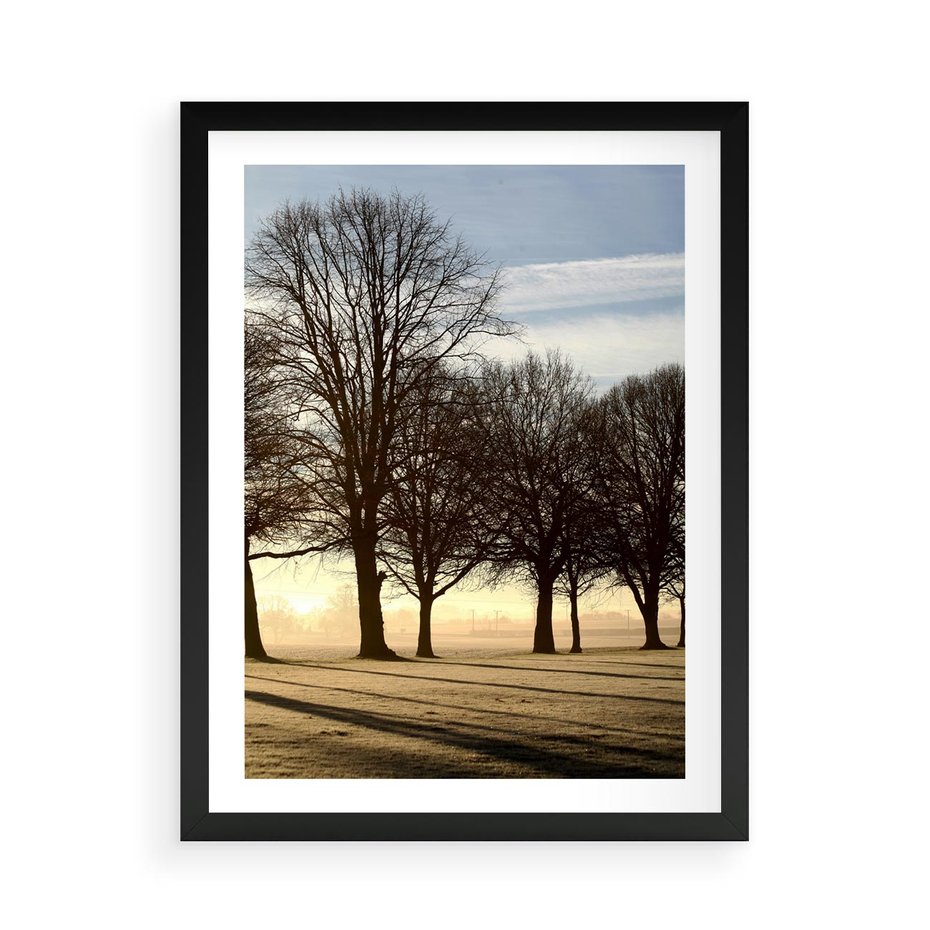 Plakat w ramie 50x70 - Siła natury - drzewa, pole - rama czarna