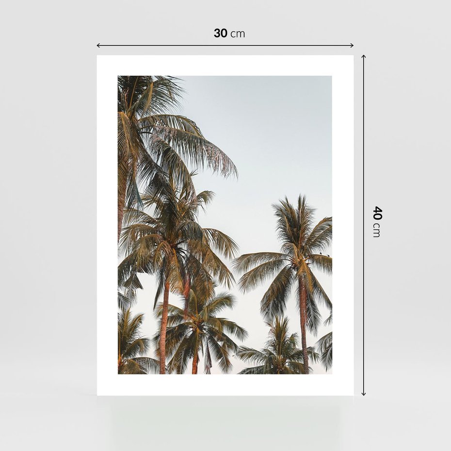 Plakat bez ramy 30x40 - Palmy - tęsknota za Hawajami - palmy, Hawaje