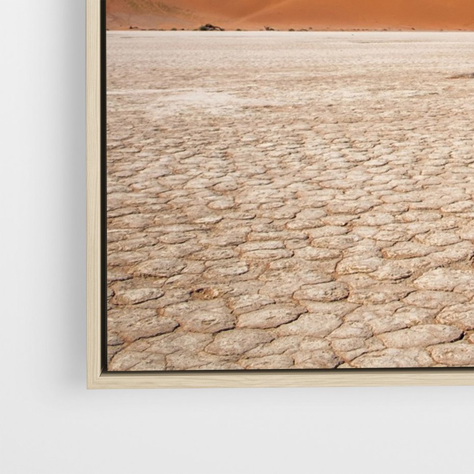 Obraz w ramie 70x100 - Słońce i Suche Drzewo - pustynia, suche - rama drewno