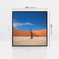 Obraz w ramie 50x50 - Słońce i Suche Drzewo - pustynia, suche - rama czarna