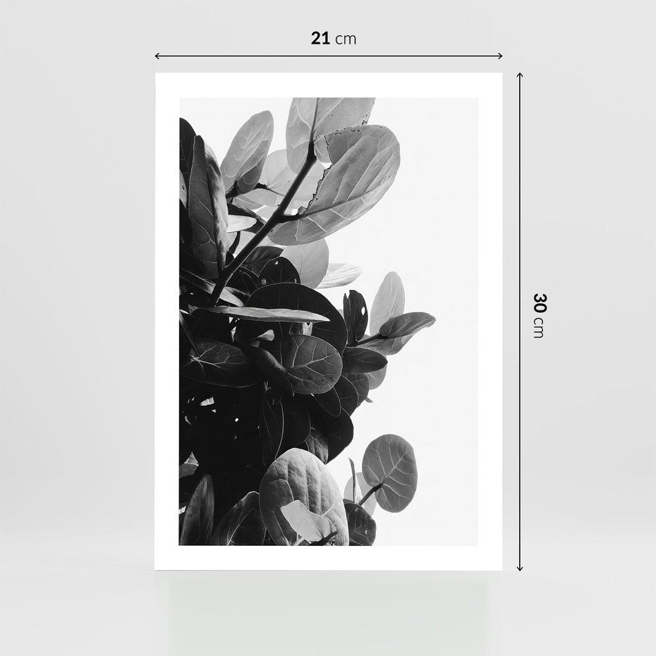 Plakat bez ramy 21x30 - Blisko Natury - liście, rośliny tropikalne