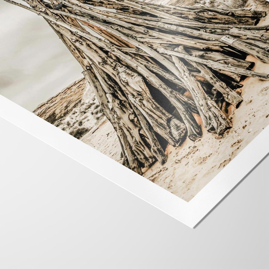 Plakat bez ramy 30x40 - Ciepło Przeszłości - retro fotograia, odcienie sepii