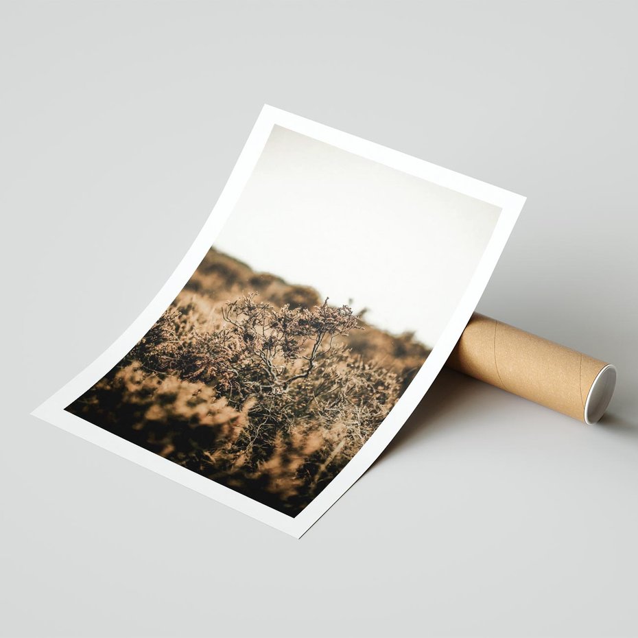 Plakat bez ramy 21x30 - Krajobraz W Naturze: Beże i Brązy - suche krzewy, natura