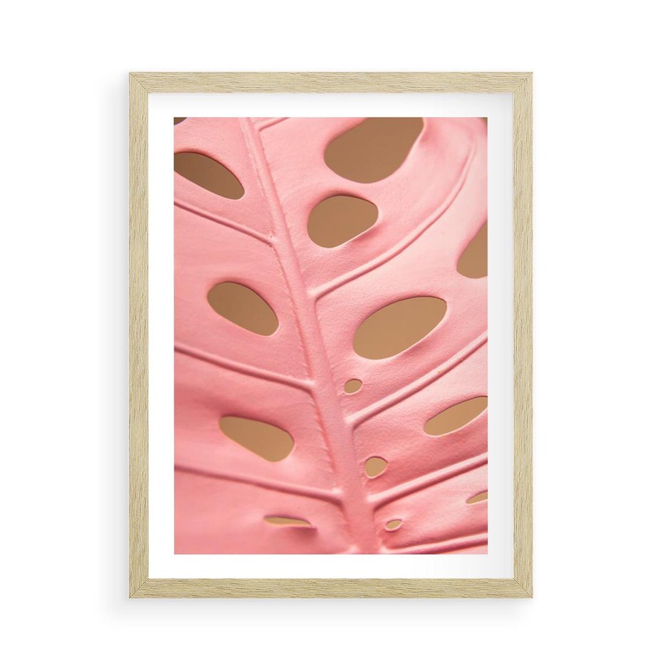 Plakat w ramie 50x70 - Różowy Liść Monstery - różowy liść monstery, nowoczesna fotografia - rama drewno