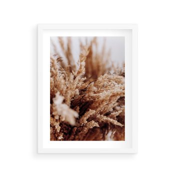 Plakat w ramie 50x70 - Sztuka Suszonych Traw - trawa pampas, suszone trawy - rama biała