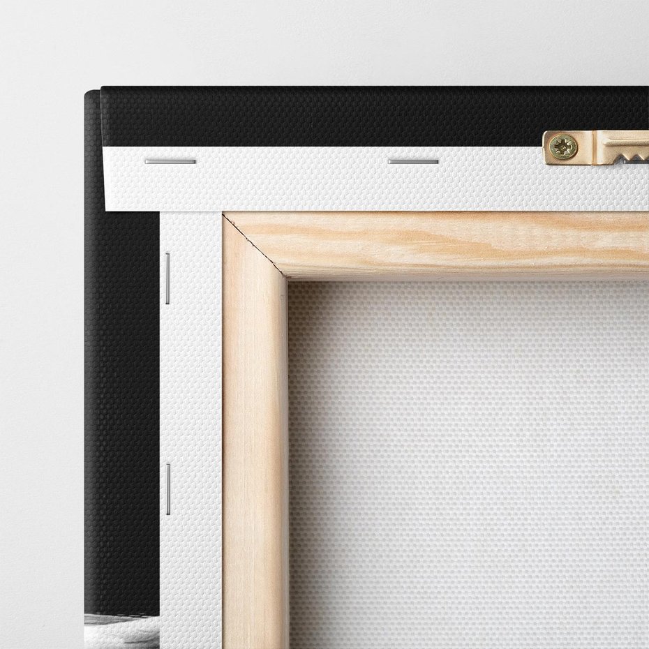 Obraz na płótnie 70x50 - Delikatne Uderzenie Skrzydeł Łabędzia - łabędź, ptak