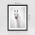 Plakat w ramie 30x40 - Elegancja białego konia - biały, koń - rama czarna