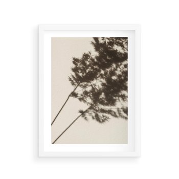 Plakat w ramie 40x50 - Tajemniczy Cień Traw - cień traw, na ścianie - rama biała