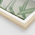 Plakat w ramie 30x40 - Minimalistyczna Tropikalna Harmonia - tropikalna roślina, zielone liście - rama drewno