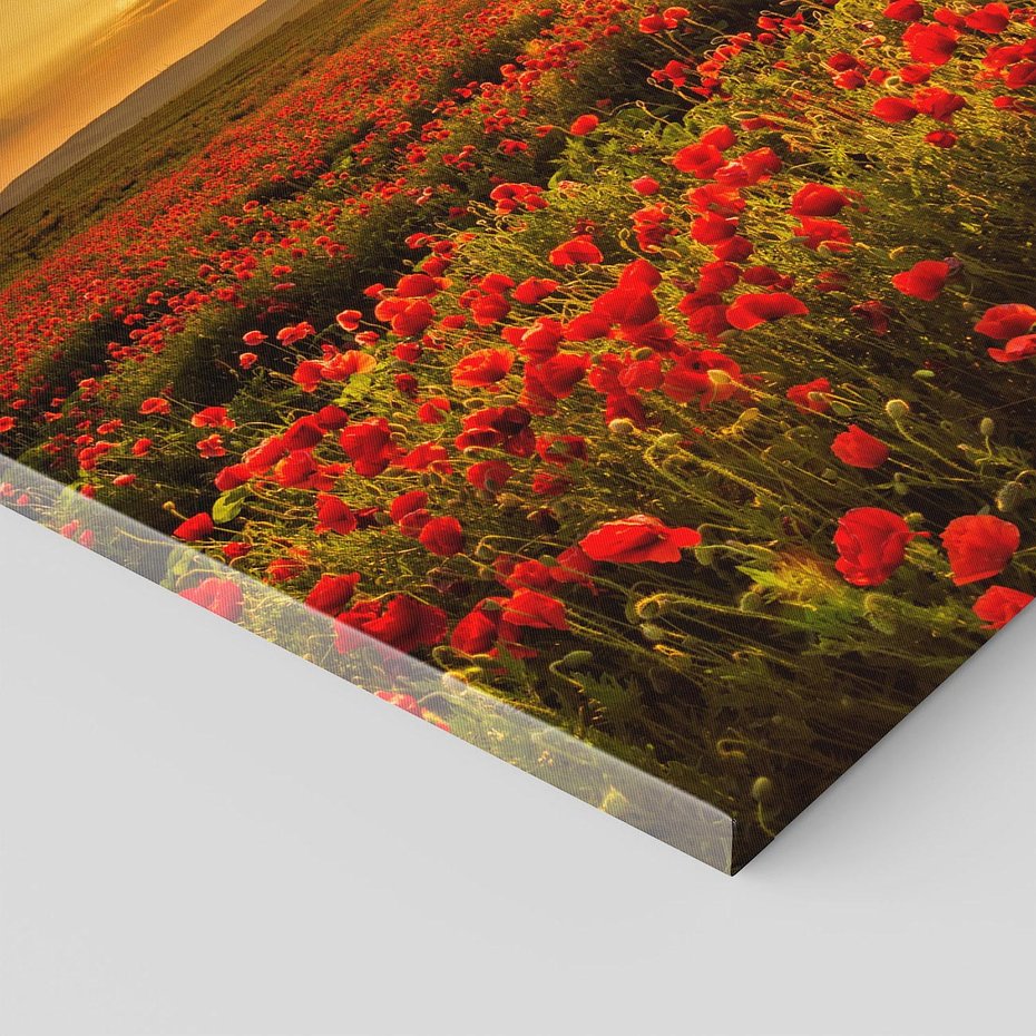 Obraz na płótnie 50x50 - Makowe uczucia - maki, kwiaty