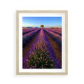 Plakat w ramie 40x50 - Fioletowa Magia - pole, lawendy - rama drewno