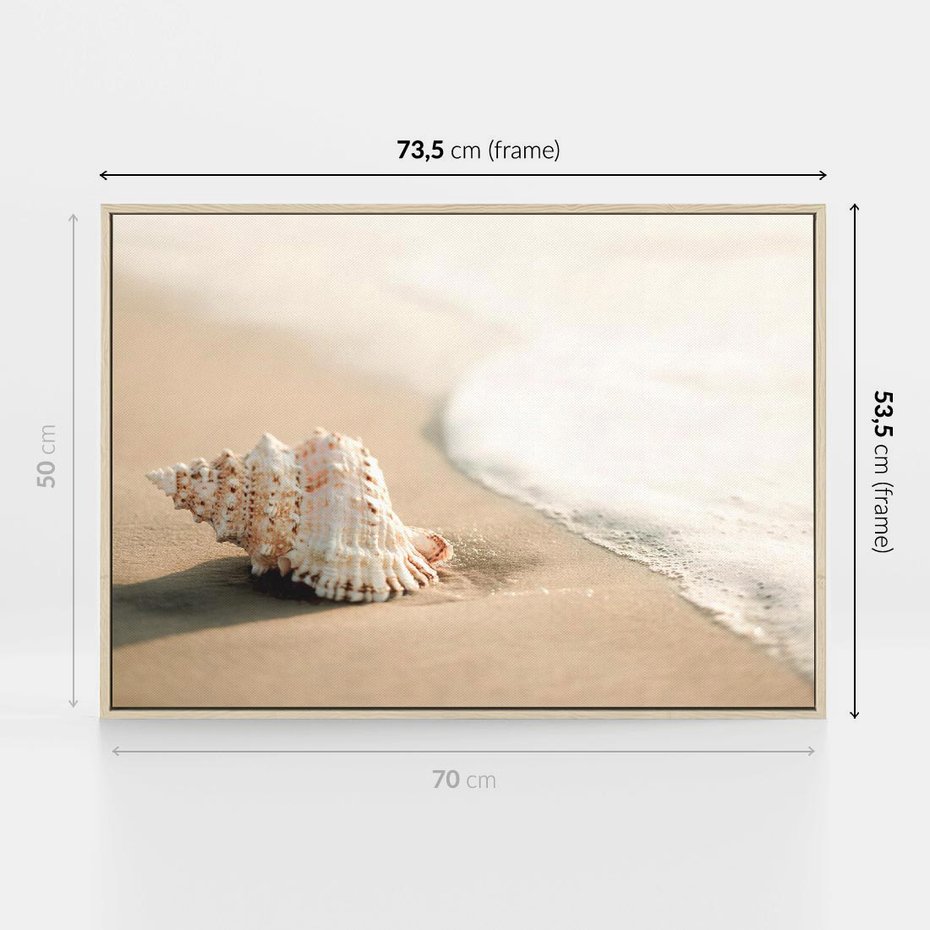 Obraz w ramie 70x50 - Urok plażowej muszelki - fotografia, muszla na plaży - rama drewno