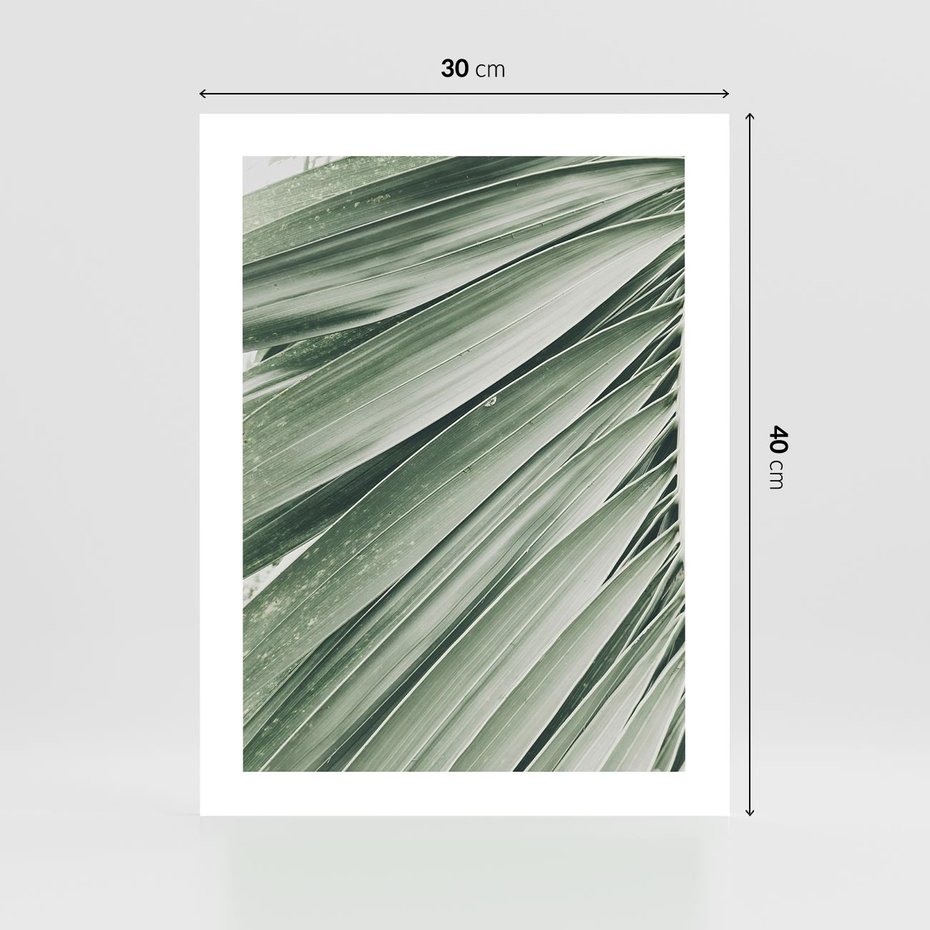 Plakat bez ramy 30x40 - Tropikalna Oaza - zielony liść palmy, zieleń