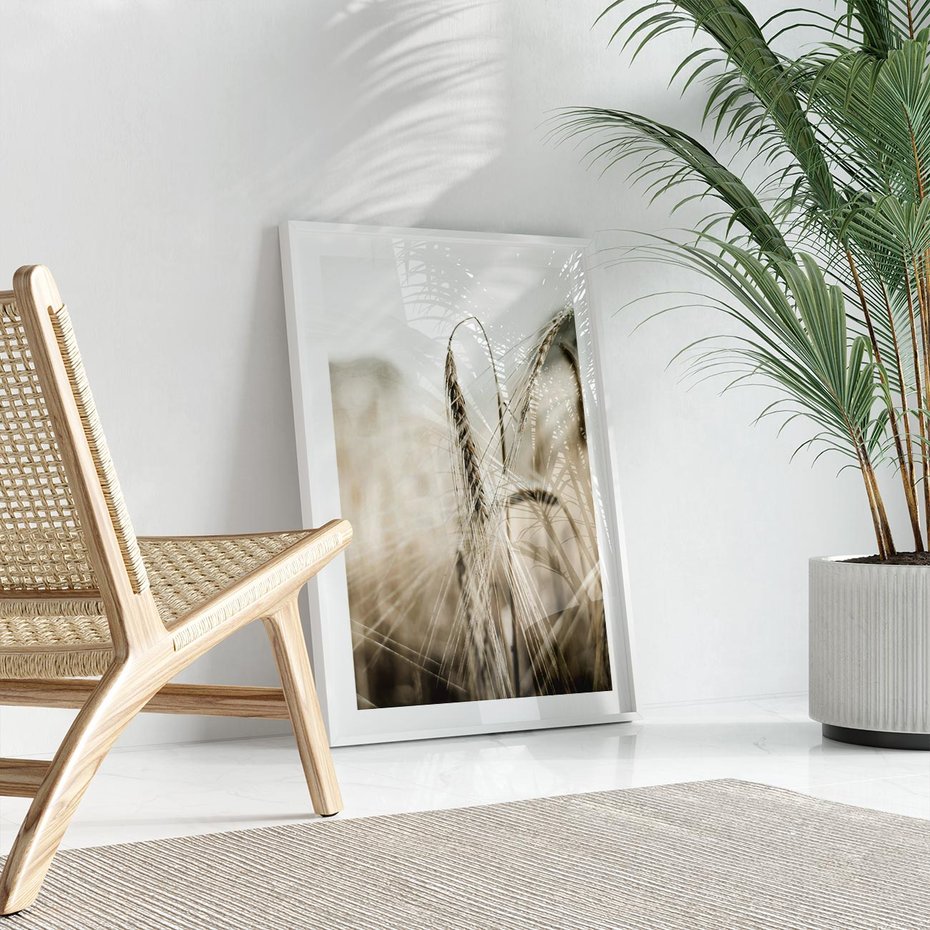 Plakat w ramie 50x70 - Kłosy Pszenicy w Sepii - zboże, kłos pszenicy - rama biała