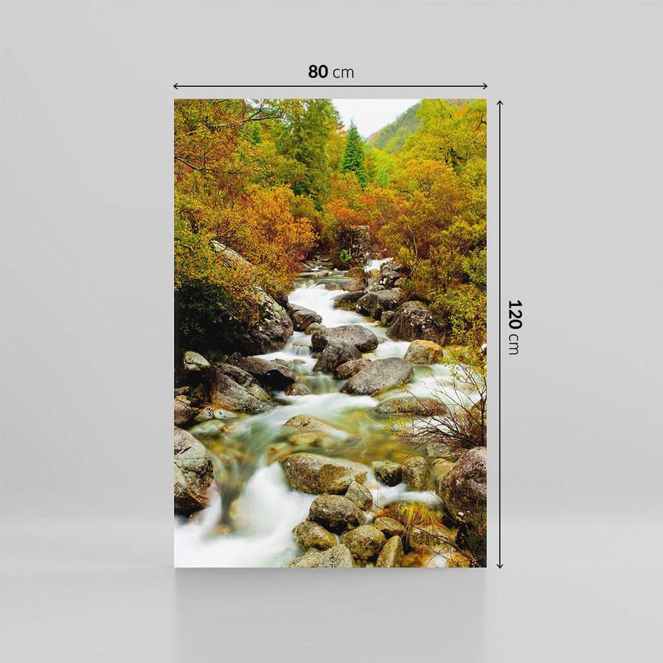 Obraz na płótnie 80x120 - Śpiew Strumienia - strumień, górski