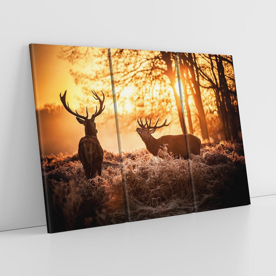 Obraz na płótnie 120x80 - Jeleń w lesie: Spotkanie w dziczy - jeleń, jelenie