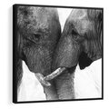 Obraz w ramie 50x50 - Spotkanie Mądrości - fotografia czarno biała, dwa słonie - rama czarna