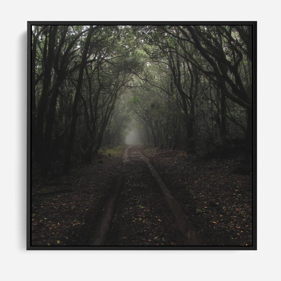 Obraz w ramie 50x50 - Urok Drogi - las, droga - rama czarna