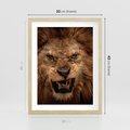 Plakat w ramie 30x40 - Władca Sawanny - lew, sawanna - rama drewno