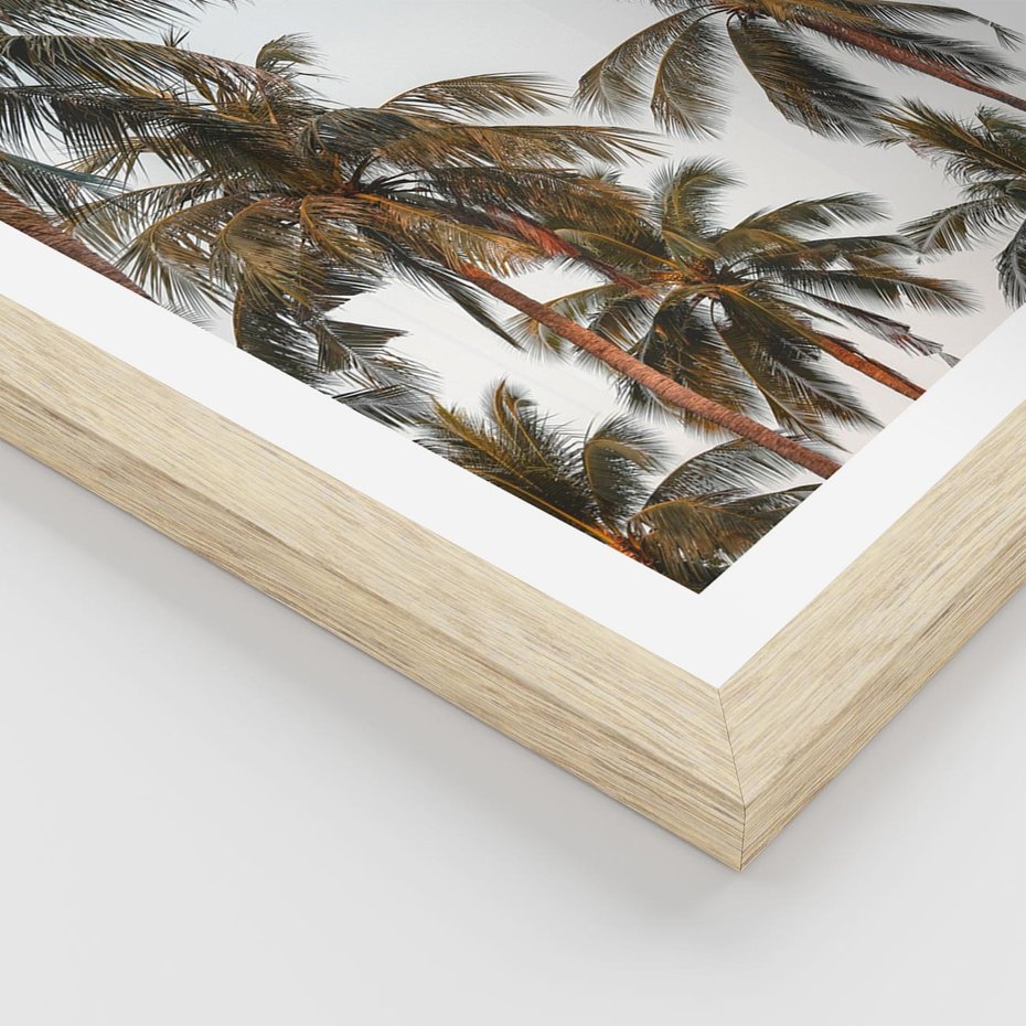 Plakat w ramie 40x50 - Palmy - tęsknota za Hawajami - palmy, Hawaje - rama drewno
