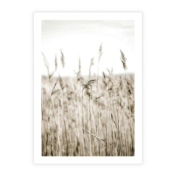 Plakat bez ramy 30x40 - Nostalgiczny Pejzaż - suche trawy, pole