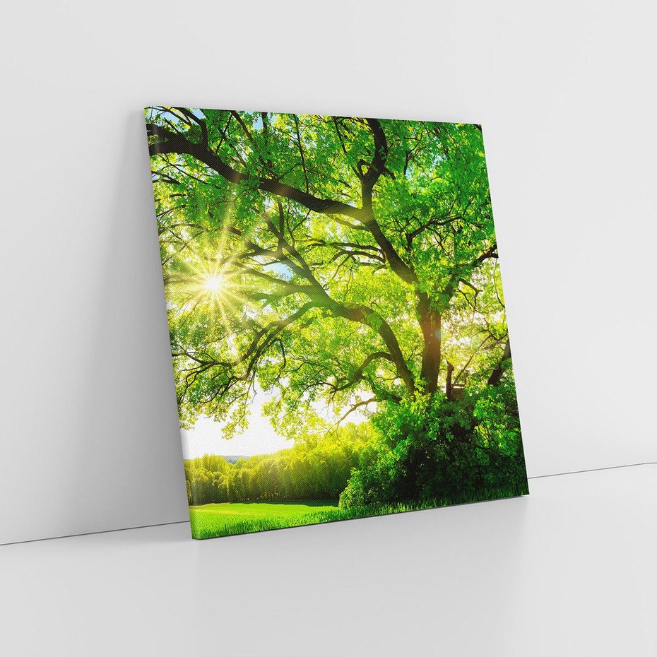 Obraz na płótnie 30x30 - Natura w pełnym rozkwicie - drzewo, niebo