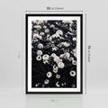 Plakat w ramie 50x70 - Białe Kwiaty na Kwitnącym Krzewie - białe kwiaty, kwitnący krzew - rama czarna