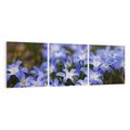 Obraz na płótnie 150x50 - Kwiatowy raj w naturze - kwiat, kwiaty