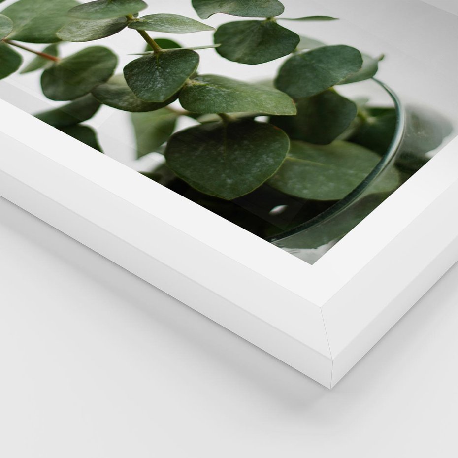 Plakat w ramie 30x40 - Zielone eukaliptusy - eukaliptus, liście - rama biała