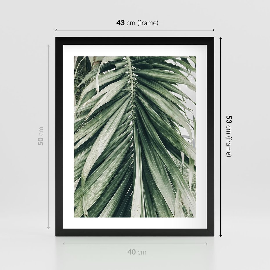 Plakat w ramie 40x50 - Spokojna Piękność Palmowych Liści - palma, liście palmy - rama czarna