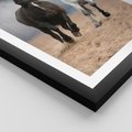 Plakat w ramie 40x50 - Siła koni w galopie - konie, galop - rama czarna