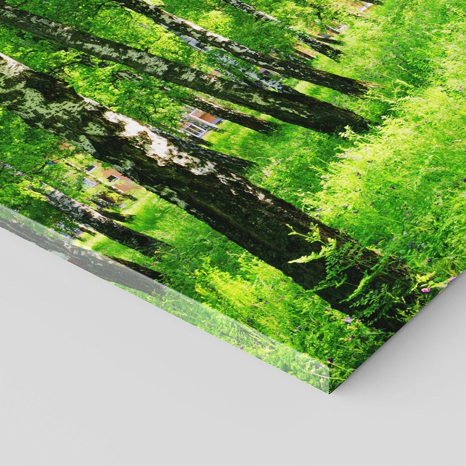 Obraz na płótnie 120x60 - odkryj piękno drzew - las, drzewa