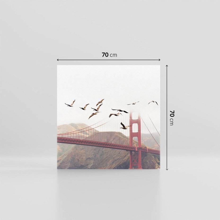 Obraz na płótnie 70x70 - Mewy przy Złotej Bramie - mewy, Golden Gate