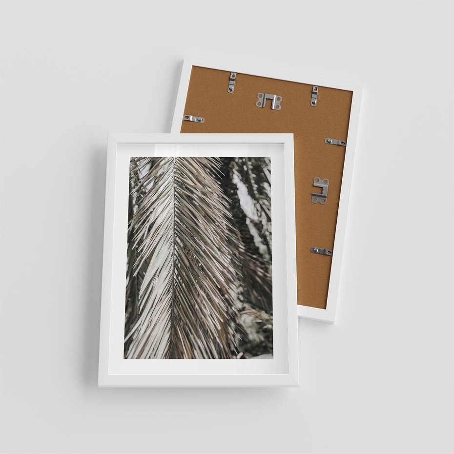 Plakat w ramie 30x40 - Egzotyczne Gałęzie - suche gałęzie, liście palmy - rama biała