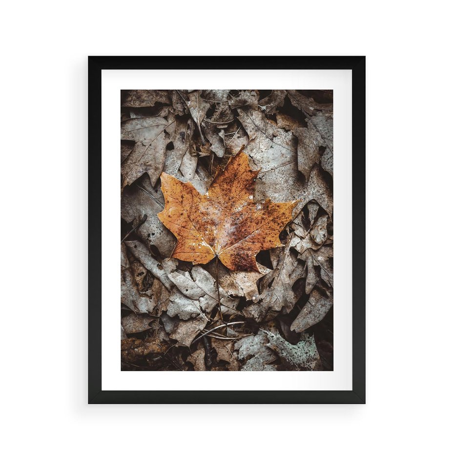 Plakat w ramie 40x50 - Jesienne Czarowanie - suchy liść, żółty - rama czarna
