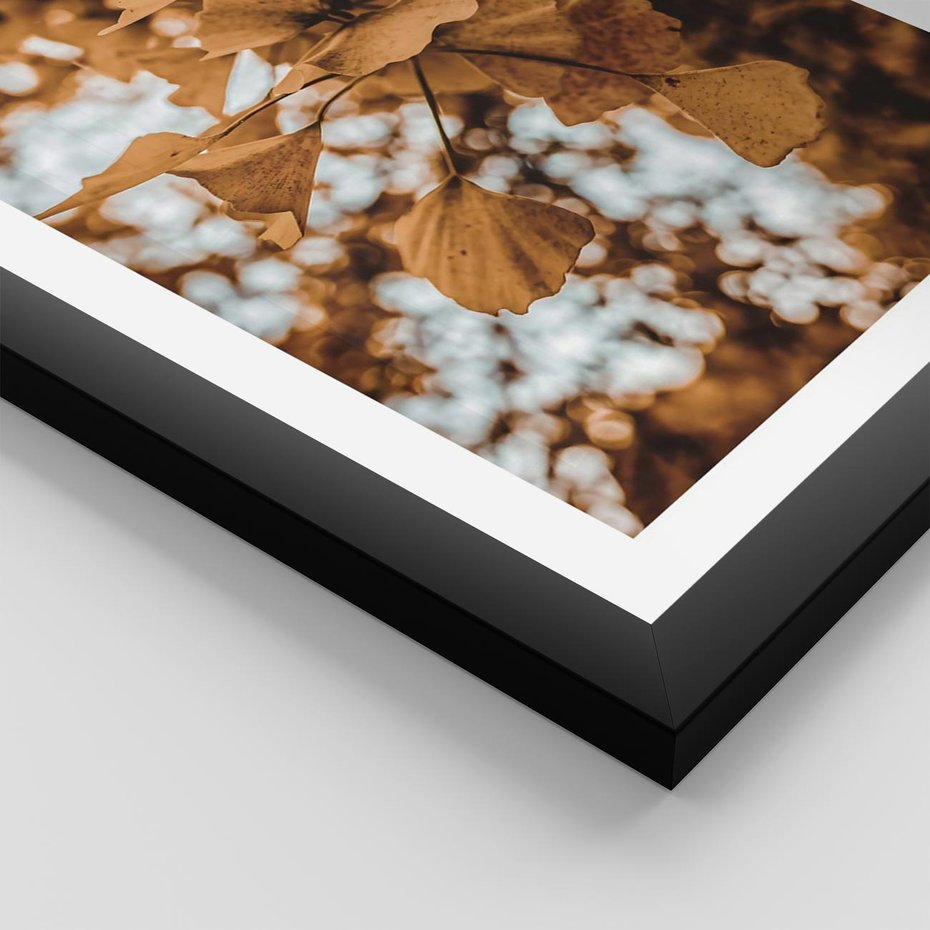 Plakat w ramie 30x40 - Nostalgiczny Miłorząb - miłorząb, liście - rama czarna
