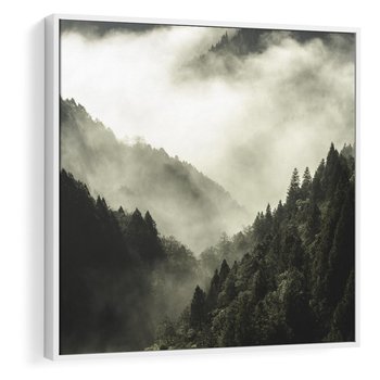 Obraz w ramie 50x50 - Mgliste góry w lesie - góry, las - rama biała