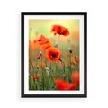 Plakat w ramie 50x70 - Makowa Pasja - maki, kwiaty - rama czarna