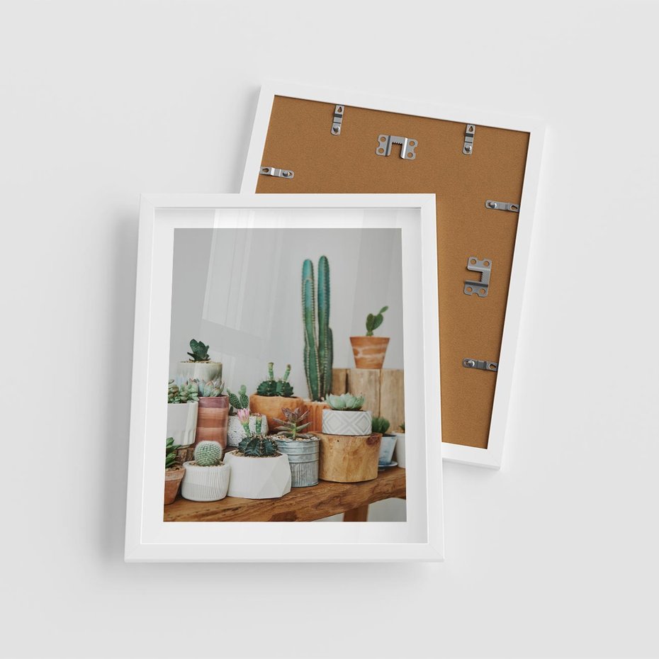 Plakat w ramie 40x50 - Kaktusowa Galeria w Doniczkach - kaktusy w doniczkach, fotografia - rama biała