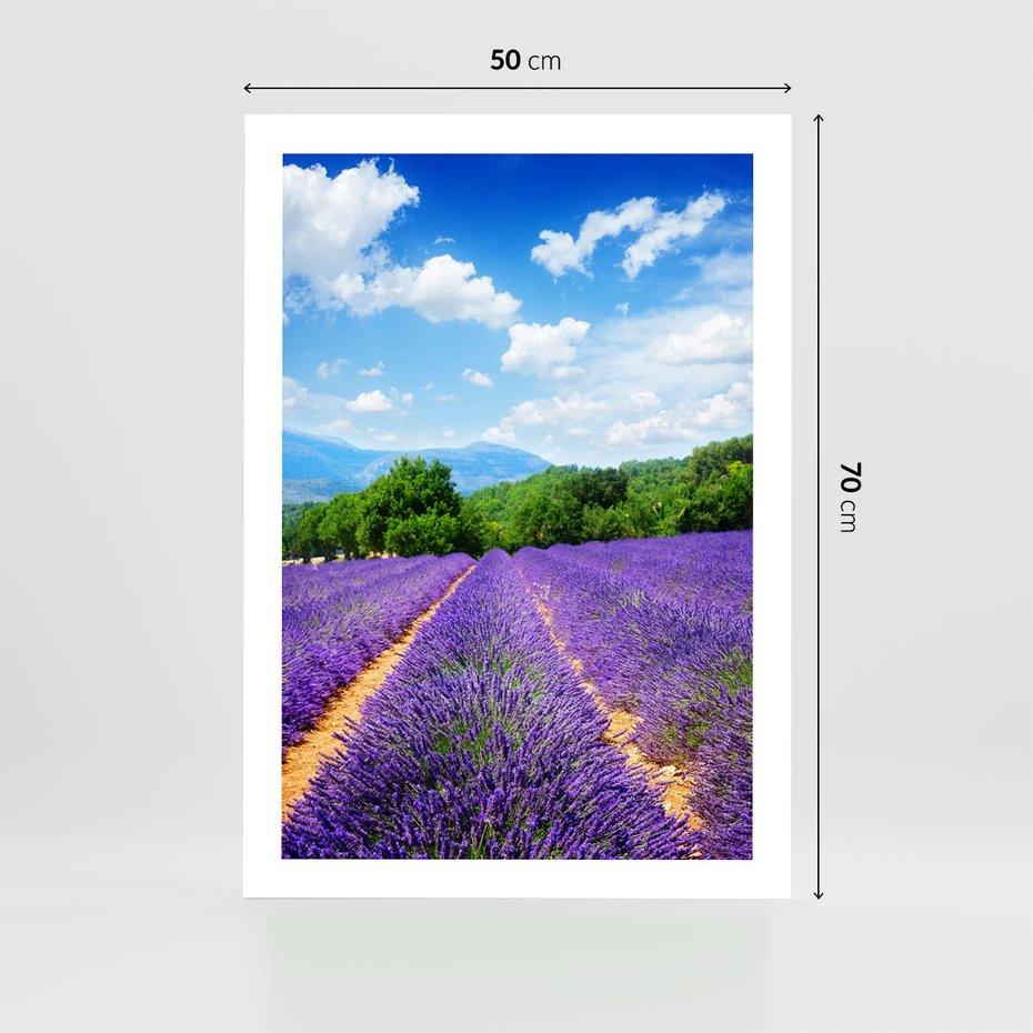 Plakat bez ramy 50x70 - Prowansalska Lawenda - lawenda, prowansja