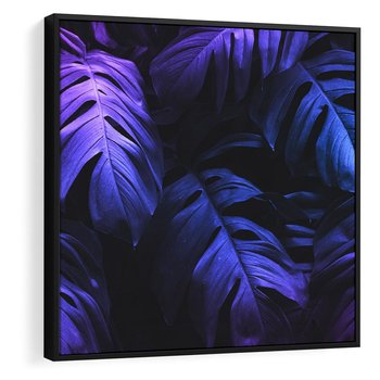 Obraz w ramie 50x50 - Mroczna Magia Dżungli - mroczna grafika, fioletowe liście monstery na czarnym tle - rama czarna