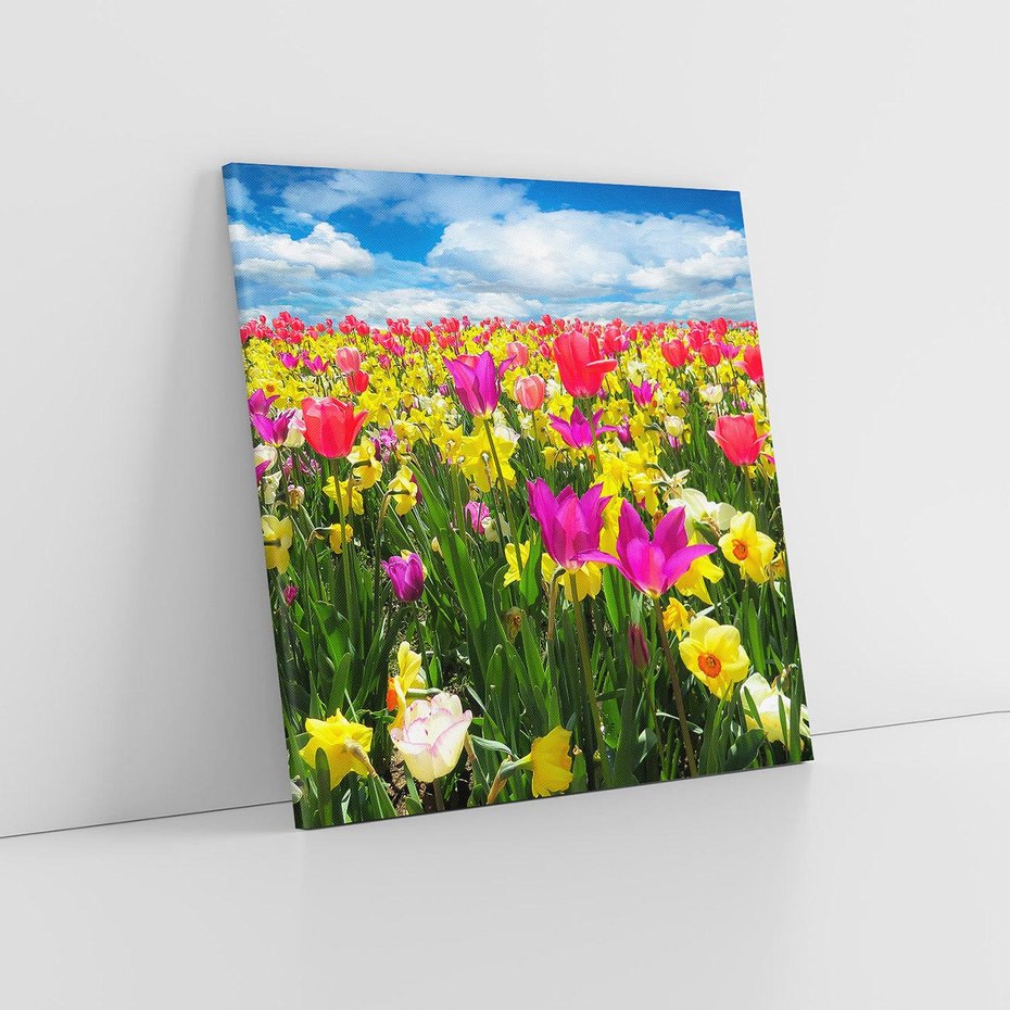 Obraz na płótnie 40x40 - tulipany na łące - kwiaty, tulipany