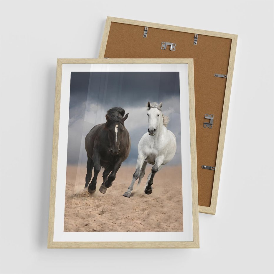 Plakat w ramie 50x70 - Siła koni w galopie - konie, galop - rama drewno