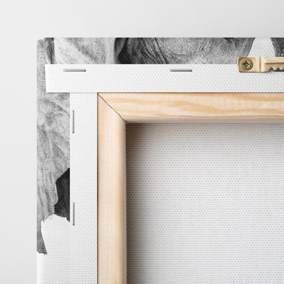 Obraz na płótnie 80x80 - Spotkanie Mądrości - fotografia czarno biała, dwa słonie