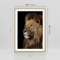 Plakat w ramie 50x70 - Władca Dzikiej Przyrody - lew, król - rama drewno