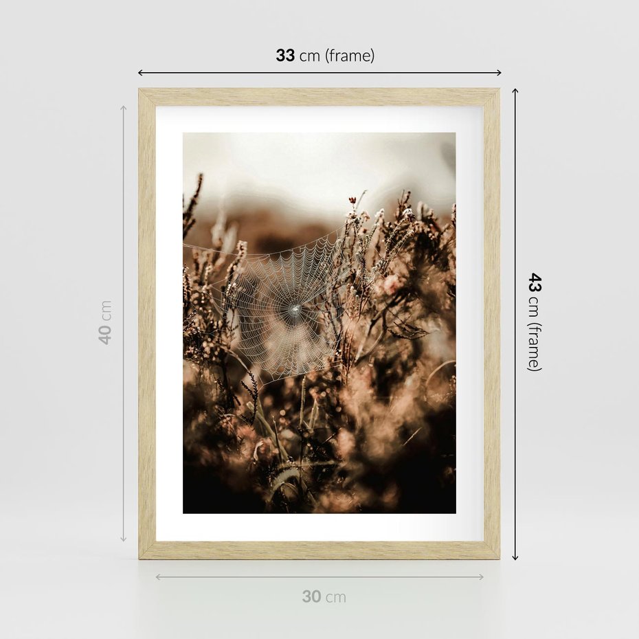 Plakat w ramie 30x40 - Jesienny Mikrokosmos - suchetrawy, jesienny klimat - rama drewno