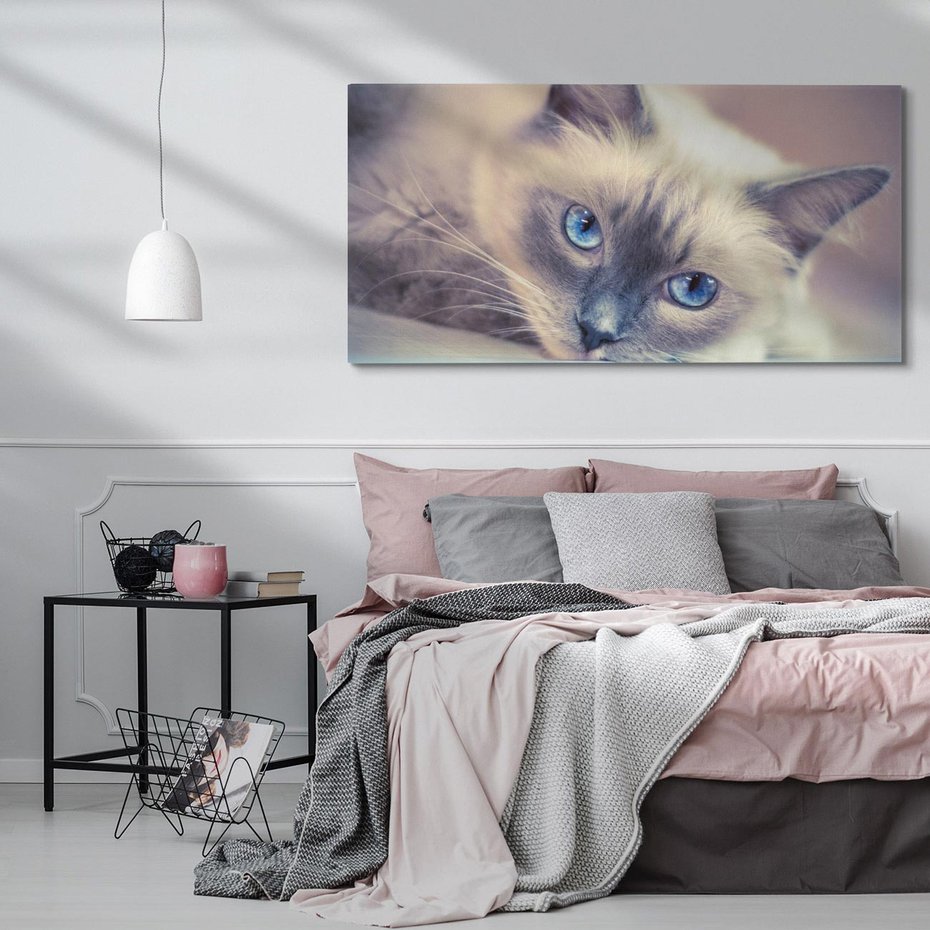 Obraz na płótnie 140x70 - Kotek w artystycznym stylu - kot, kotek