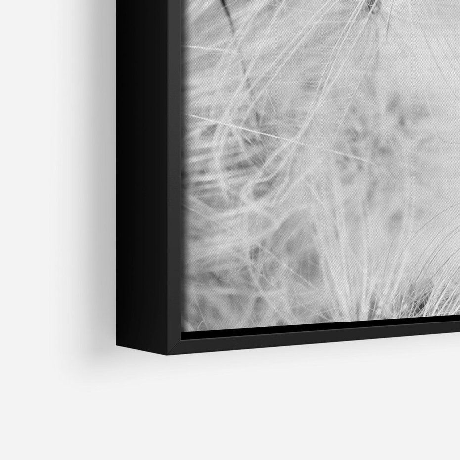 Obraz w ramie 70x100 - Zdmuchnięty Puch - dmuchawce, delikatne - rama czarna